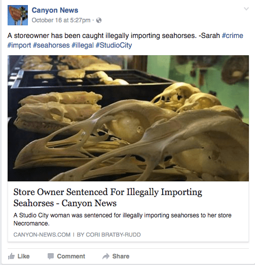 Screen Shot 2016-11-15 at 9.30.18 PM.png